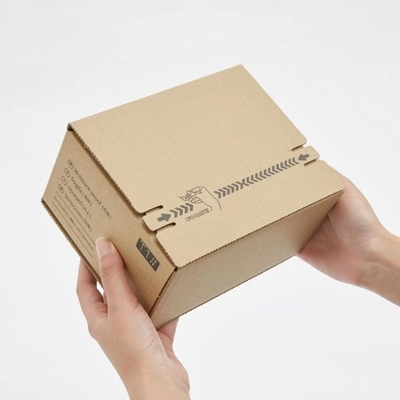 Van de Machineamazonië van ritssluitings de Verschepende Dozen van de de Dozenkleur Polaire Grijze Sinaasappel